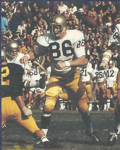 Dave Casper