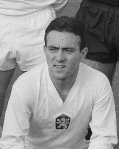 František Veselý