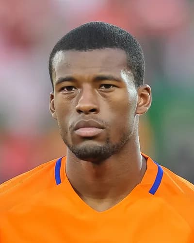 Georginio Wijnaldum