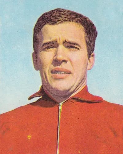 Ivo Viktor