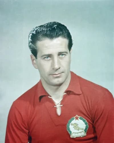 József Bozsik