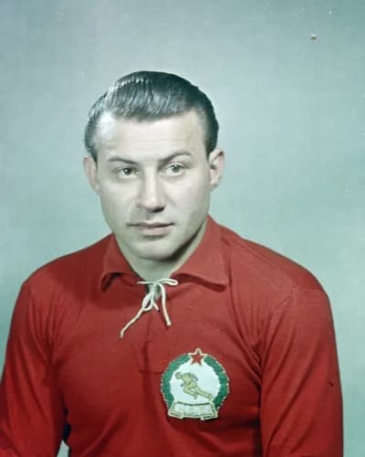 László Budai