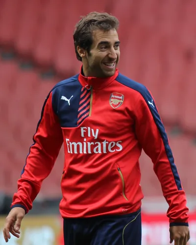 Mathieu Flamini