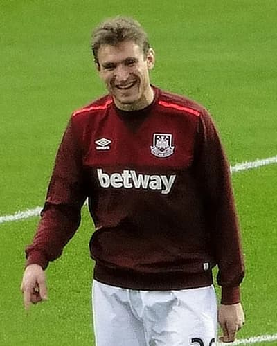 Nikica Jelavic