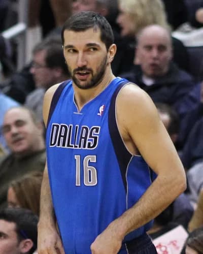 Peja Stojakovic