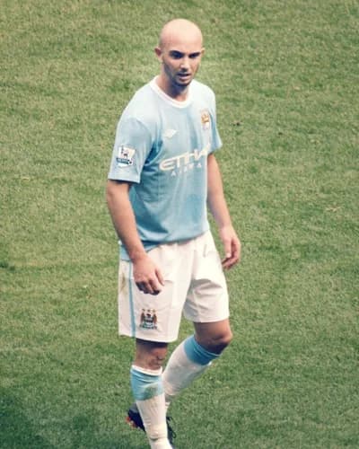 Stephen Ireland