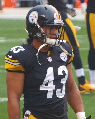 Troy Polamalu