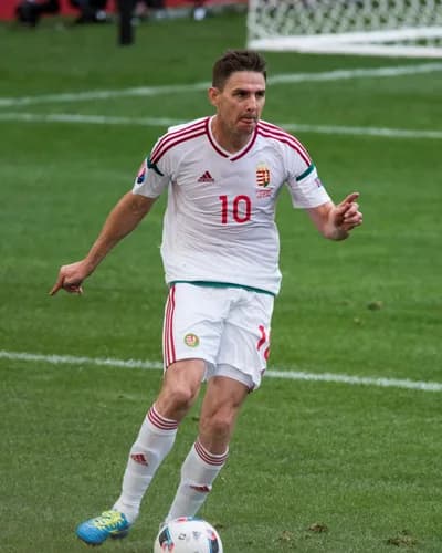 Zoltán Gera